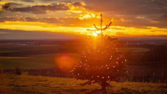 TM风景如画的云景和美丽的镜头耀斑在日落的圣诞树上闪耀