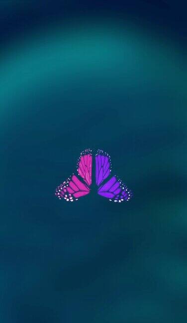 会飞的蝴蝶