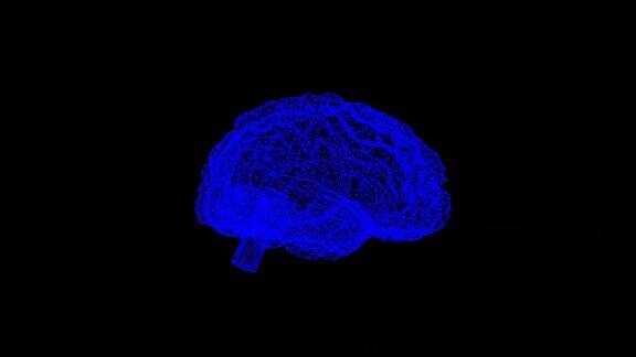 大脑的3d全息模型在空白的黑色背景上旋转以覆盖医学与科技概念