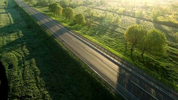 汽车在太阳升起的绿色田野之间的道路上行驶
