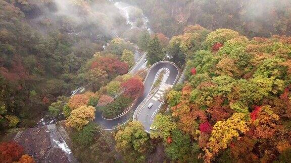 航拍的道路在秋天的日光日本
