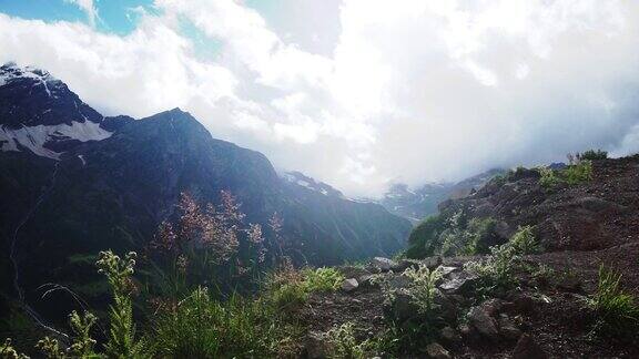 高加索山脉美丽的山谷草甸