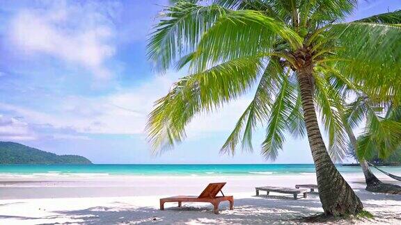 热带海滩酒店棕榈树天空