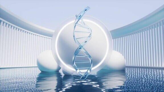 DNA与水面3d渲染