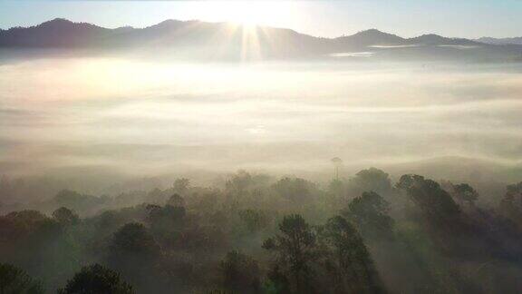 清晨鸟瞰图有雾