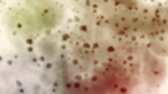 冠状病毒Covid-19|的显微镜下观察