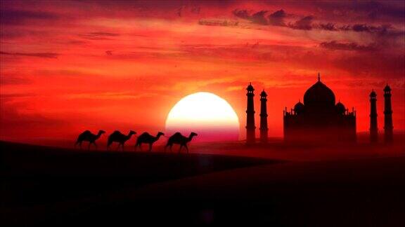 骆驼火车在夕阳中穿越沙漠高清
