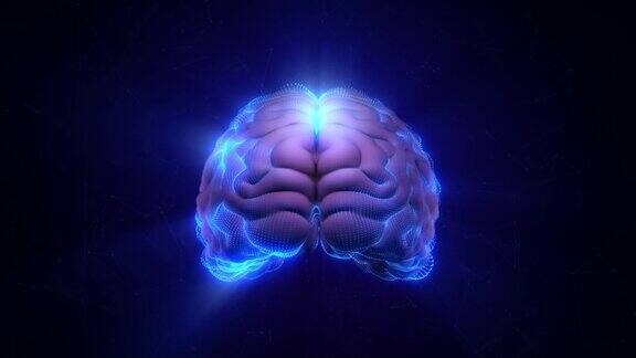 全息图旋转人类大脑在头脑风暴活动与神经突触