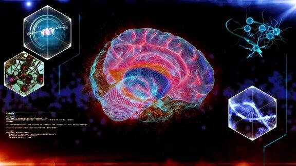 人脑神经元扫描