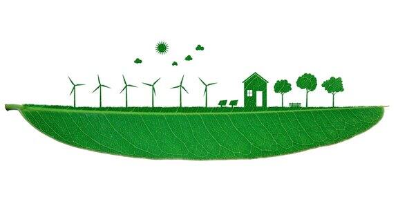 风力涡轮机和太阳能电池在家里使用并剪下绿叶