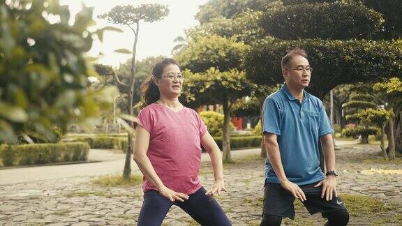 两个活跃的台湾老年人在公园里打太极