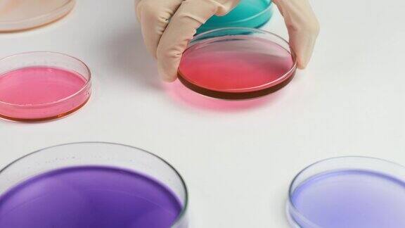 飞过彩色的培养皿戴着橡胶手套的化学家将血样放在分析台上