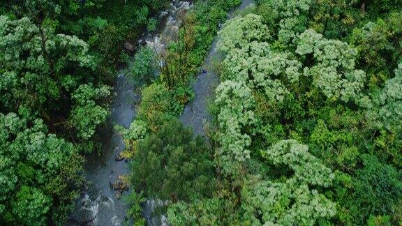 鸟瞰图的河流在丛林