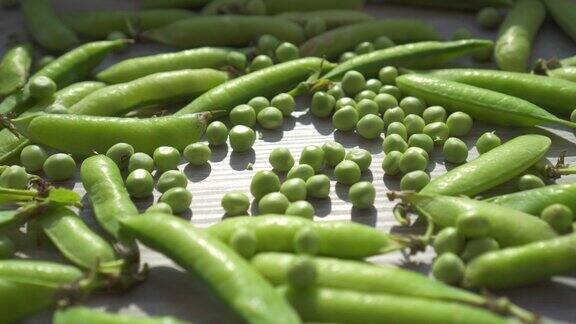 阳光照耀下的桌子上有新鲜的绿色豌豆和豆荚健康饮食