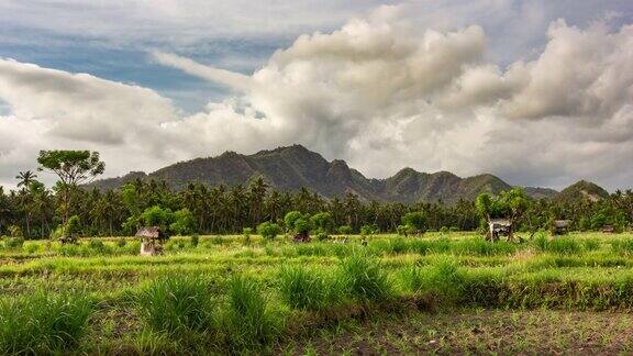 令人惊叹的云景时间与美丽的云彩和农田在热带巴厘岛印尼的最高质量(4K超高清到高清)-股票视频