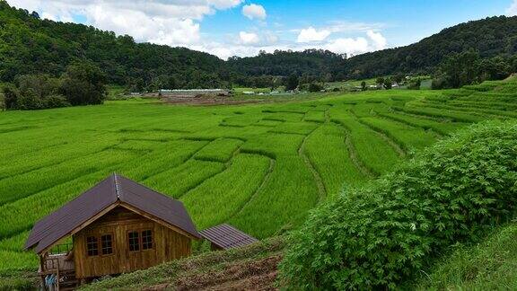 泰国北部清迈省PaPongPiang村山上的梯田
