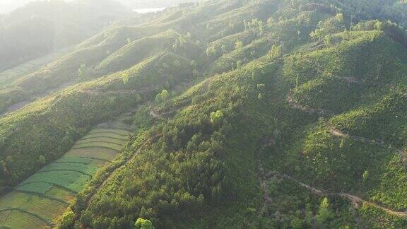 日落后的山林景象