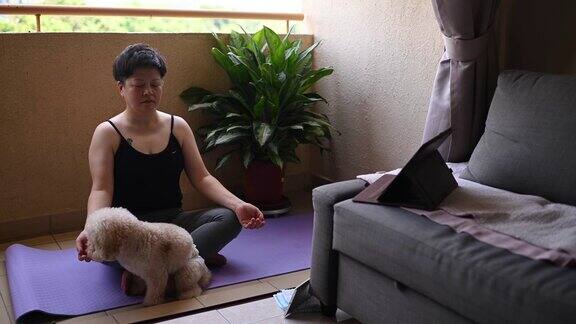 在马来西亚一名亚洲中年妇女在限制行动期间在家阳台上和她的玩具狮子狗宠物练习瑜伽