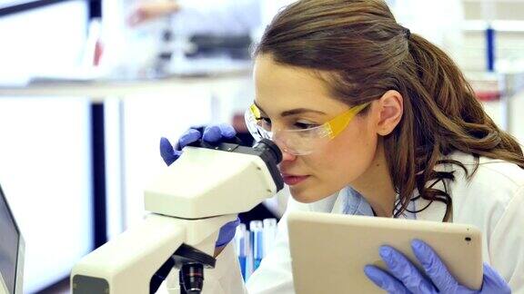 女科学家在实验室中使用数字平板和显微镜