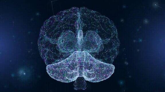 缩小人工智能大脑神经元处理中的二进制代码