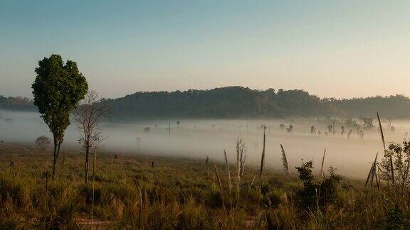 时间流逝在有雾的日出森林景观之上