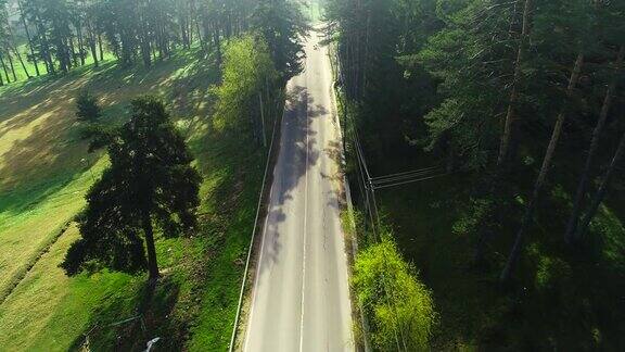 无人机鸟瞰图的山路和曲线通过森林景观