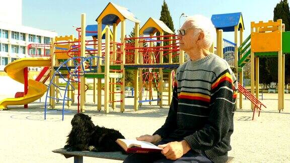 老人在一个空的操场上看书一只狗陪着他