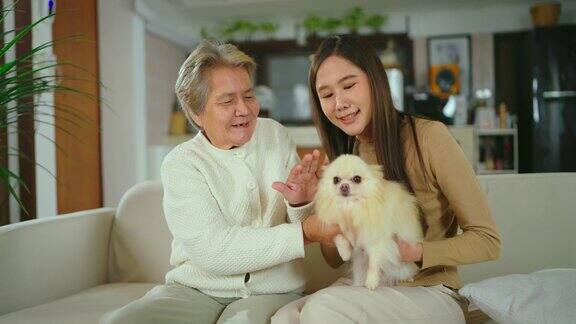 老年妇女和年轻妇女一起在客厅玩小狗