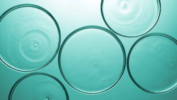 透明滴落在多个培养皿与透明液体