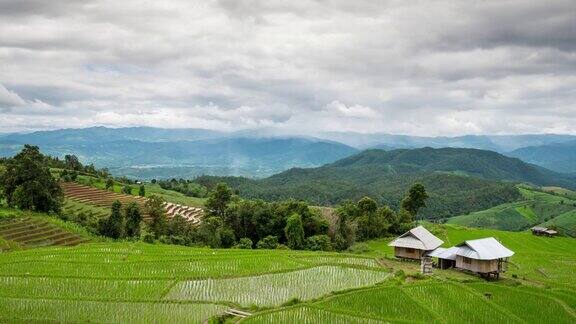 泰国清迈雨季的稻田时光流逝