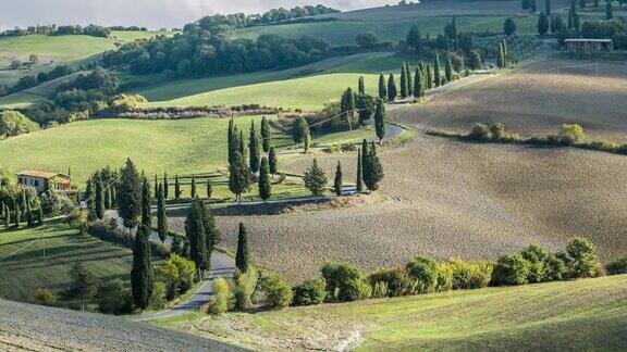 意大利托斯卡纳的景观农业