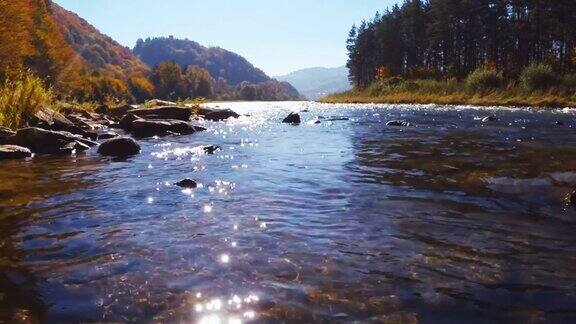 在阳光明媚的秋日山间溪流Rytro波兰