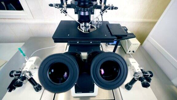 皮氏培养皿放在现代医学显微镜里