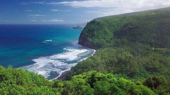 太平洋的绿色热带海岸
