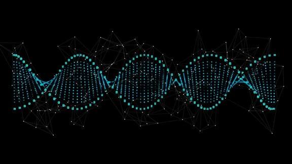 数字生成dna结构