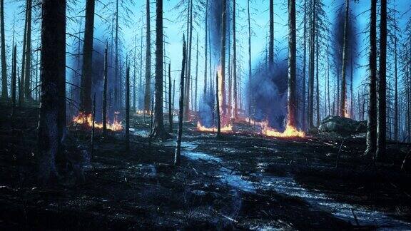 森林大火倒下的树木被烧到地上