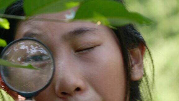 亚洲女孩使用放大镜的自然保护区在森林在冒险户外