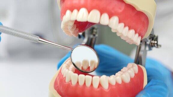 牙科医生使用牙科镜工具检查人工下颌的牙齿特写4k电影慢动作