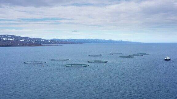 航拍镜头挪威的鲑鱼养殖场