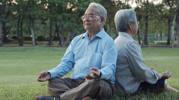 一对老夫妇在公园里练瑜伽