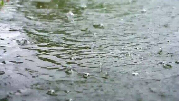 雨水滴落在池水的背景里