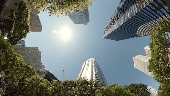 开车穿过城市中的摩天大楼仰望摩天大楼和绿树