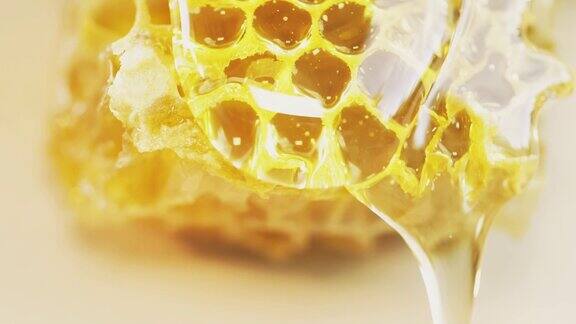 蜜蜂蜂蜡与蜂蜜