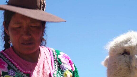 秘鲁女人和她可爱的羊驼