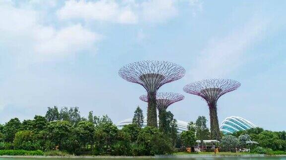 4K时间推移:新加坡城市的超级树林