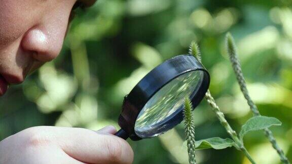 亚洲男孩使用放大镜在森林自然保护区在冒险户外