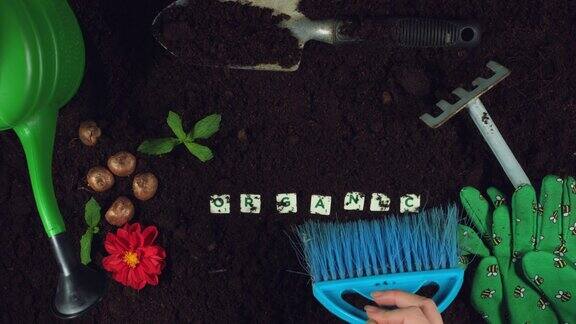土壤中拼字植物的4k园艺成分研究