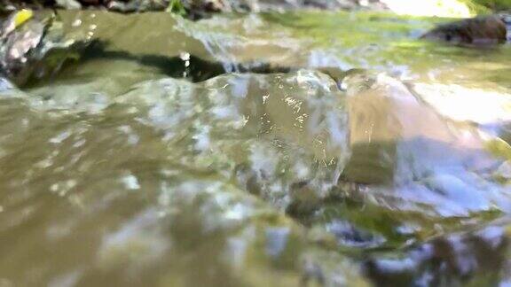 夏天的场景森林溪流特写流水慢动作拍摄