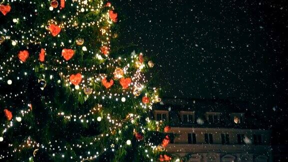 市政厅广场上的圣诞树