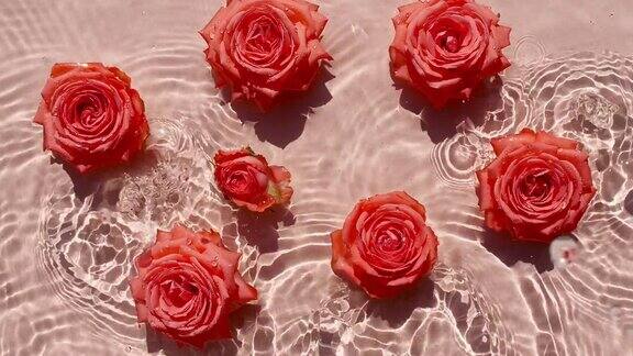 花:玫瑰花在水面上有水滴纯净水反射阳光和阴影缓慢运动的波浪水包装设计广告产品